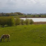 Boddenblick *