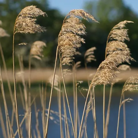 Boddenblick Lejlighed *