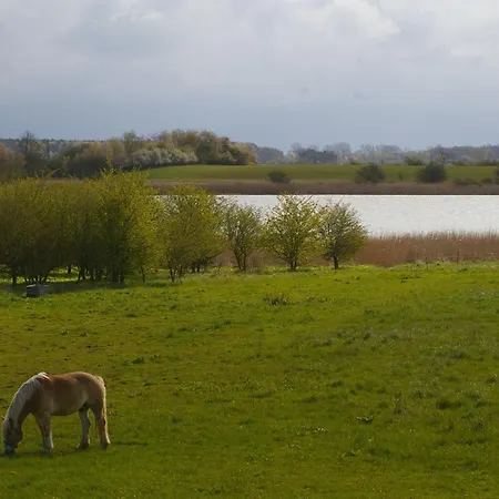 Boddenblick *