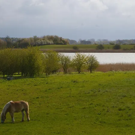 Boddenblick *