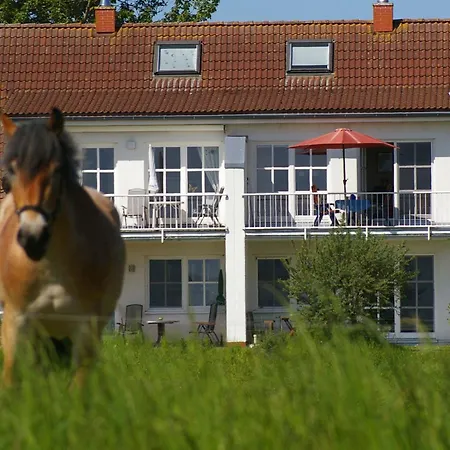 Boddenblick Apartmán *