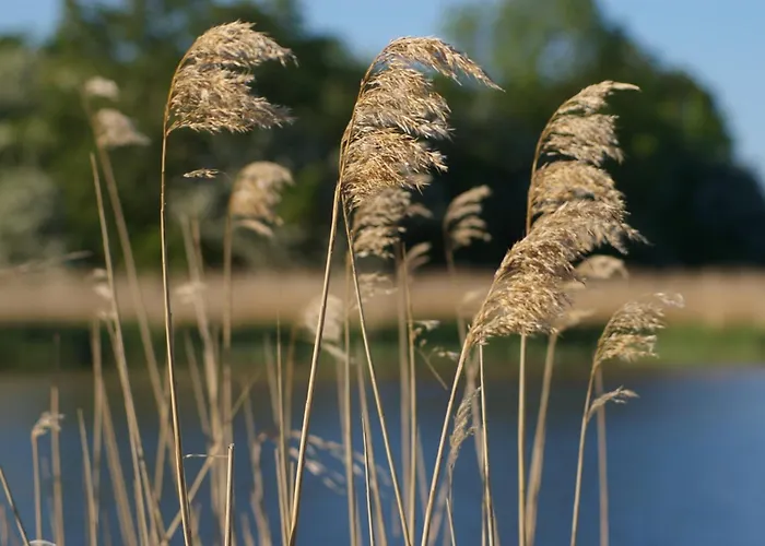 Boddenblick Apartmán *
