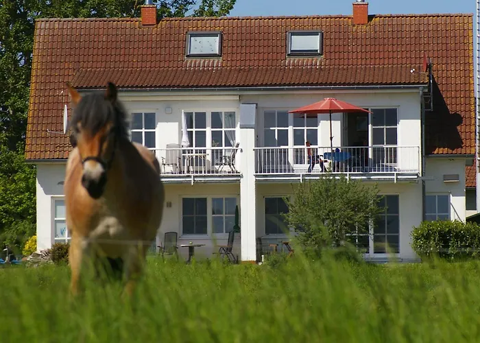 Boddenblick Apartmán *